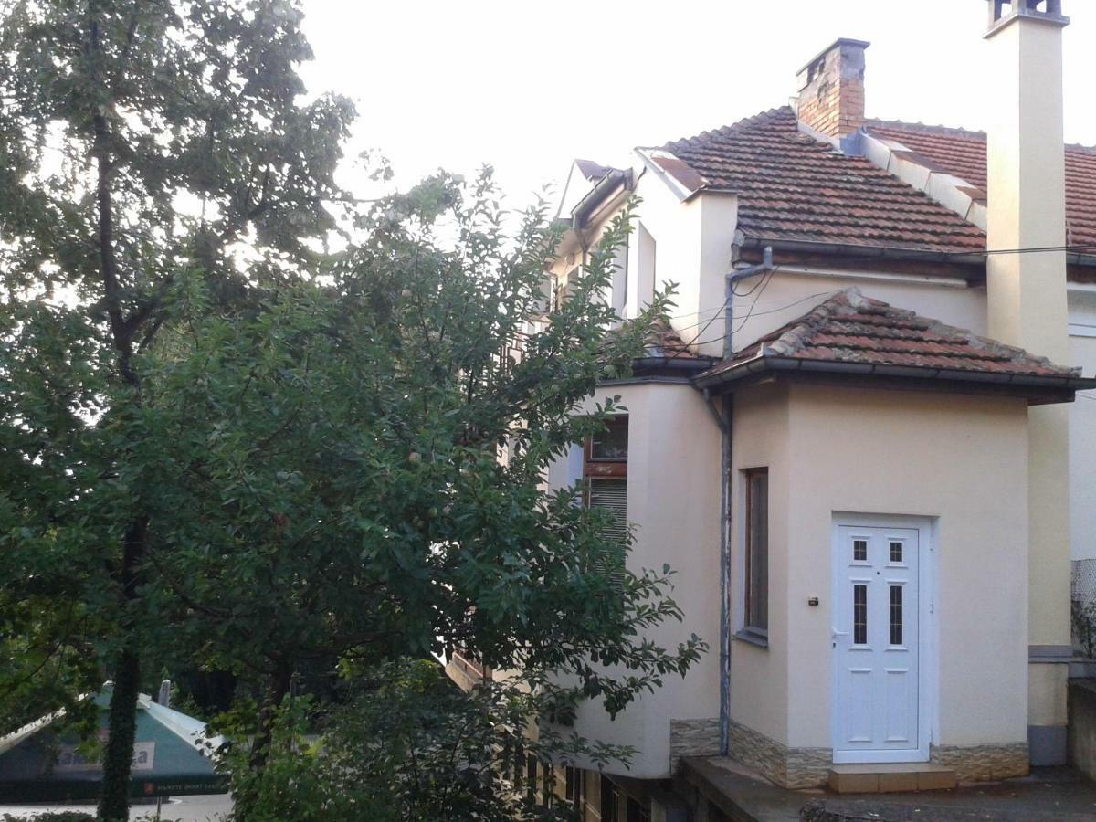 Apartment Domino Belogradcsik Kültér fotó